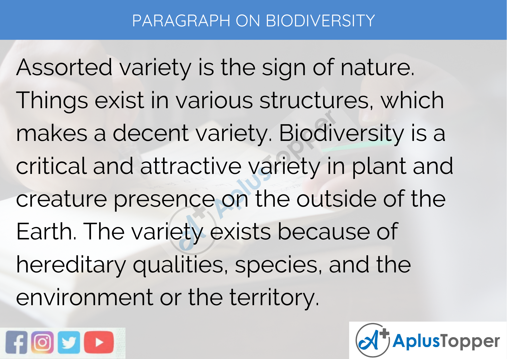 Paragraph On Biodiversity - 250 to 300 Words for Classes 9, 10, 11, 12 And Competitive Exams Students
