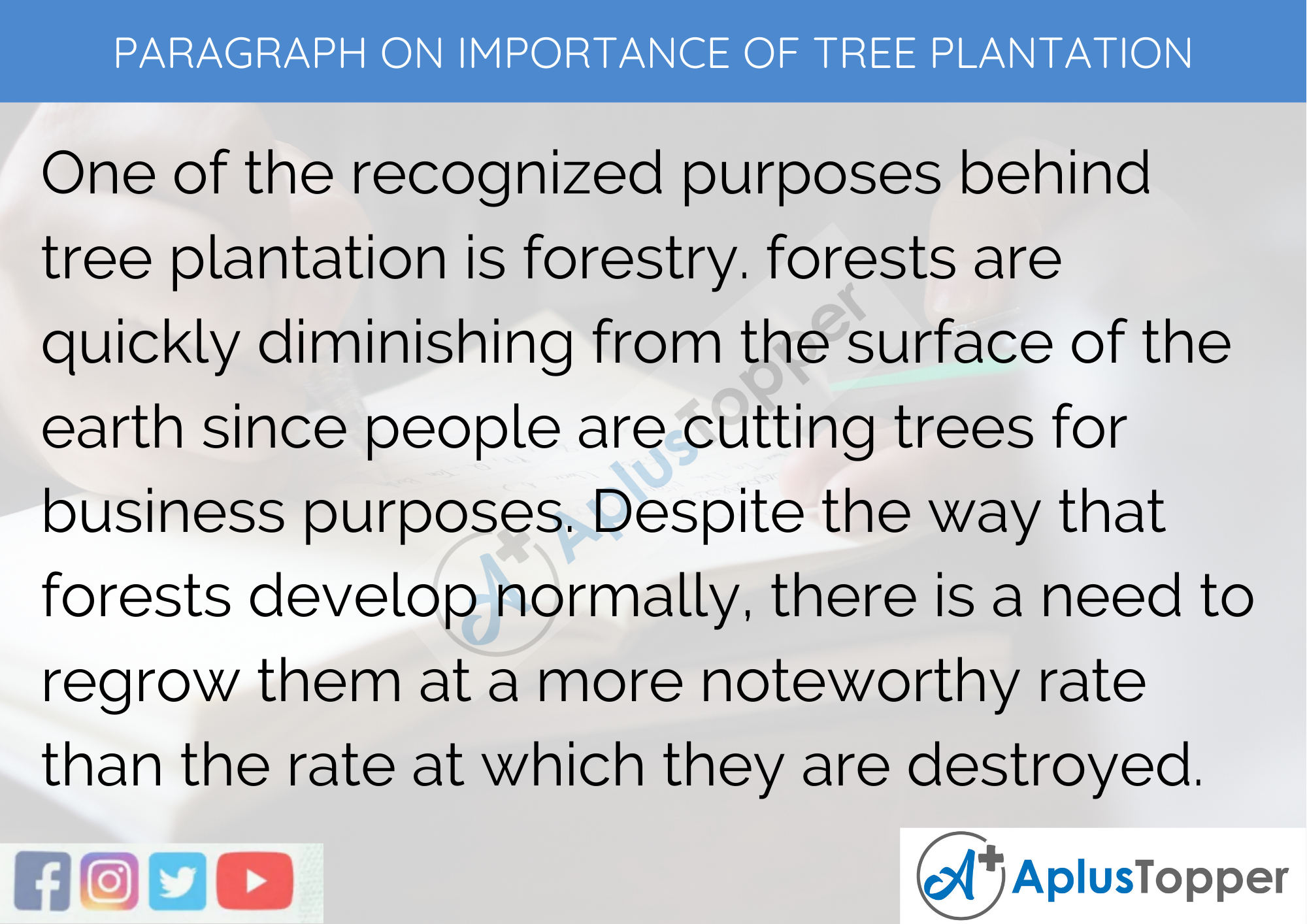 importance of planting trees essay