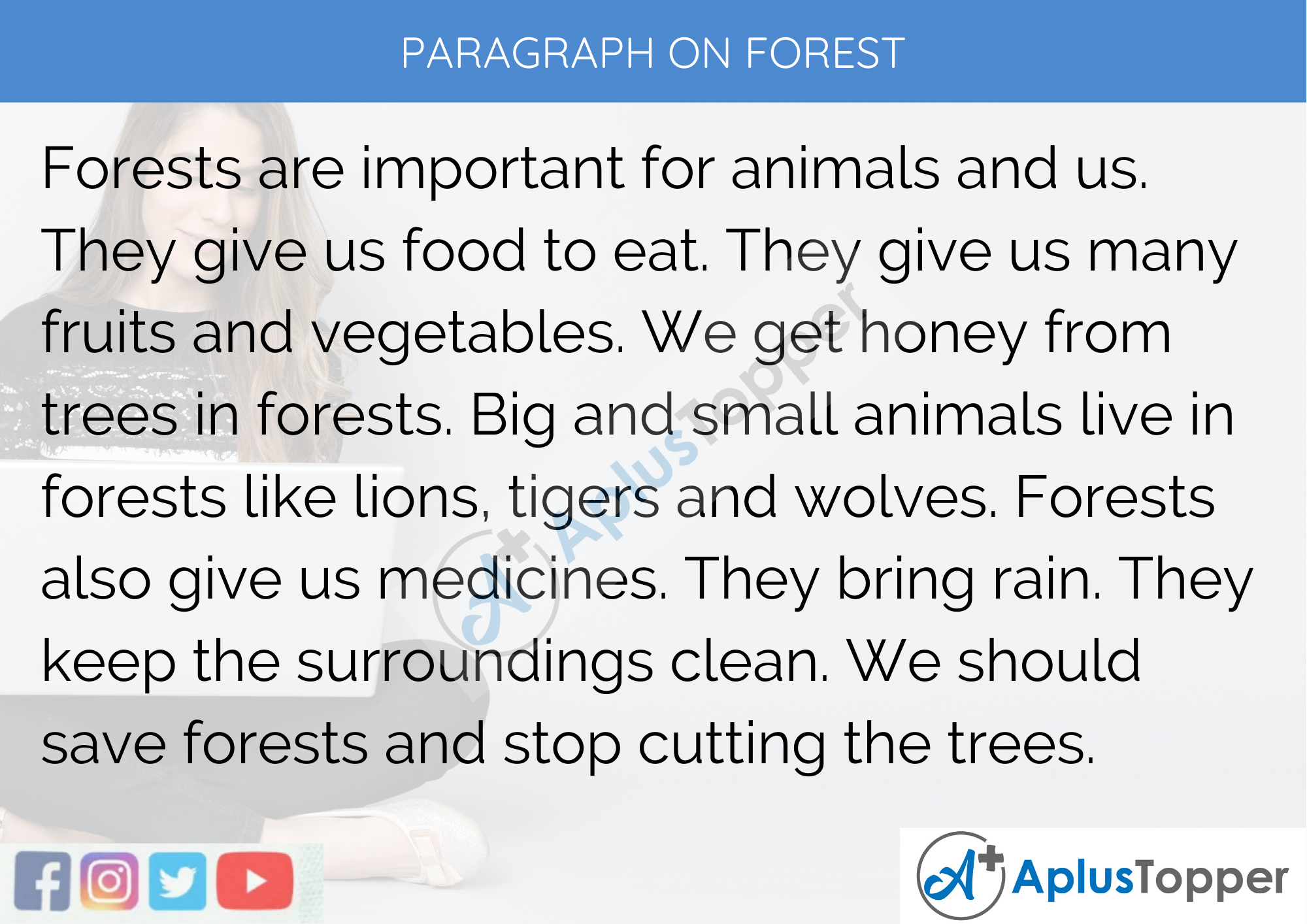 Paragraph On Forest 100, 150, 200, 250 to 300 Words for Kids, Students, and  Children - A Plus Topper