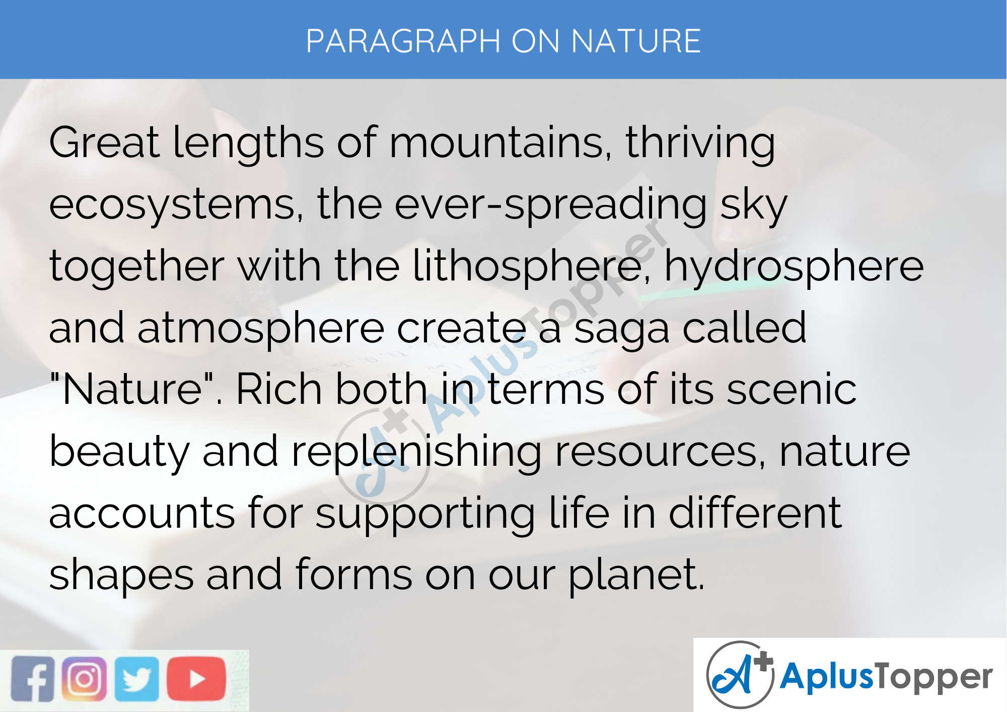 how to construct a nature summary paragraph
