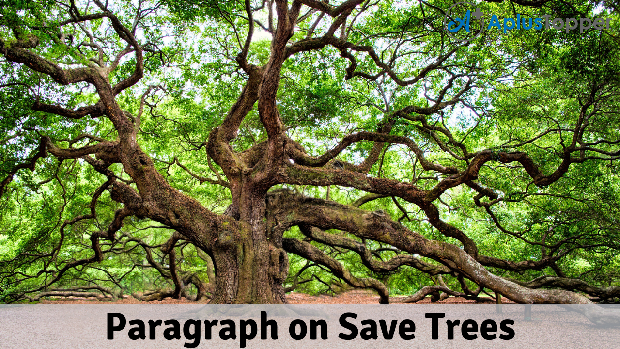 Paragraph on Save Trees 100, 150, 200, 250 to 300 Words for Kids, Students,  and Children - A Plus Topper