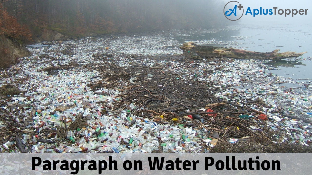 Paragraph on Water Pollution 100, 150, 200, 250 to 300 Words for Kids,  Students, and Children - A Plus Topper