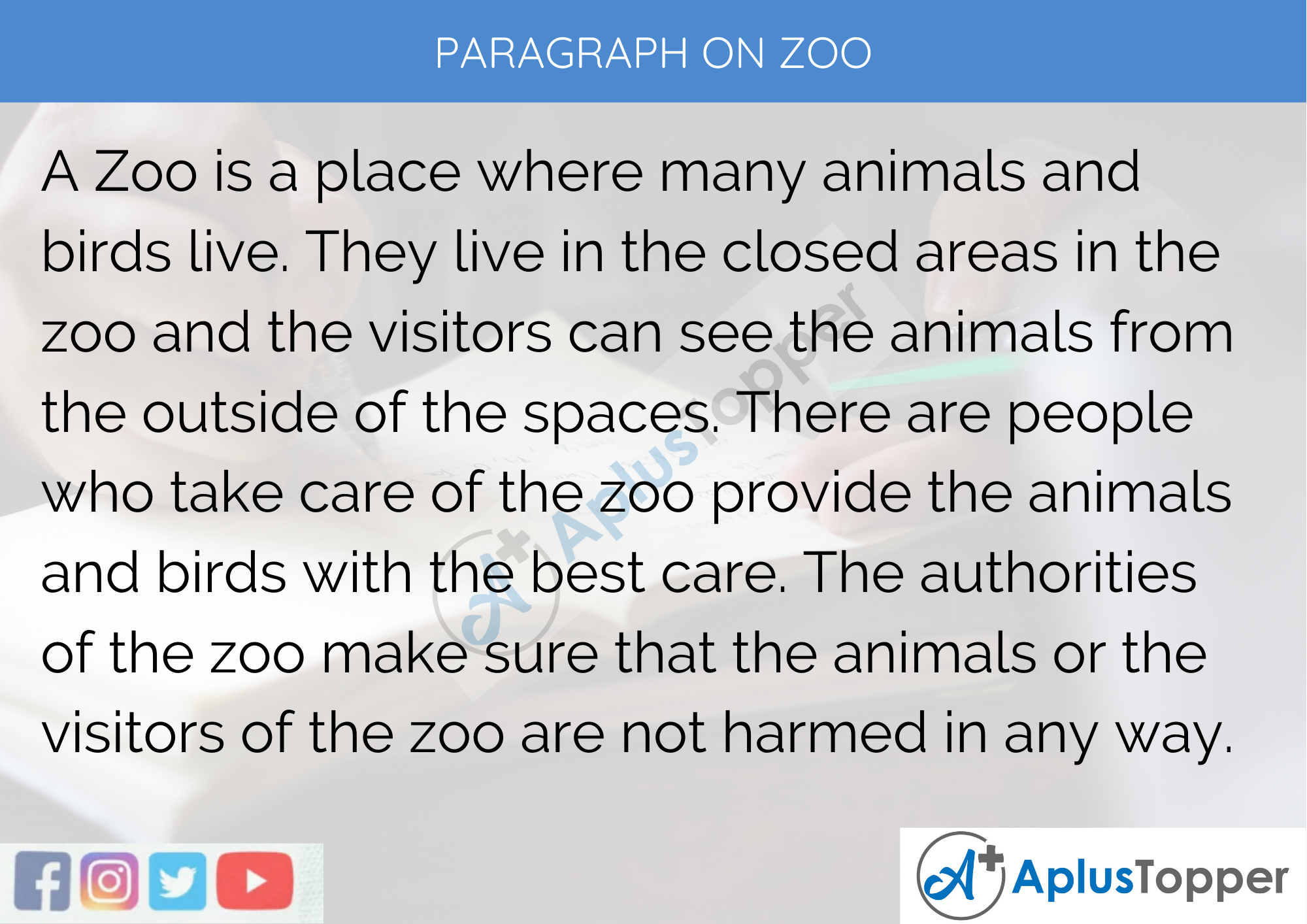 essay writing about zoo in english