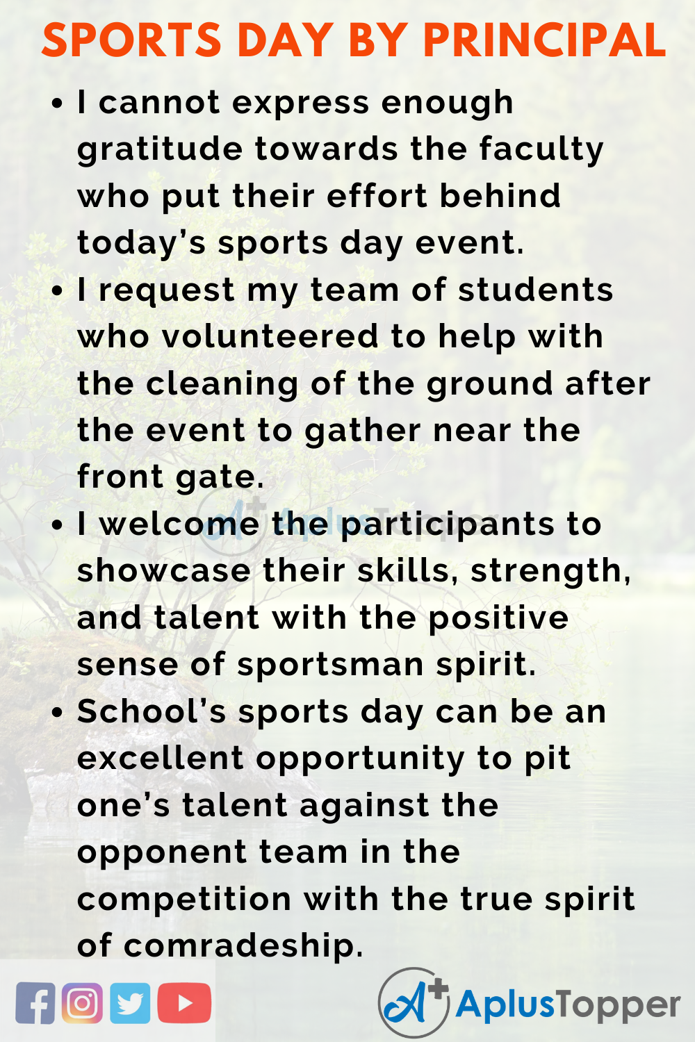essay about sportsfest