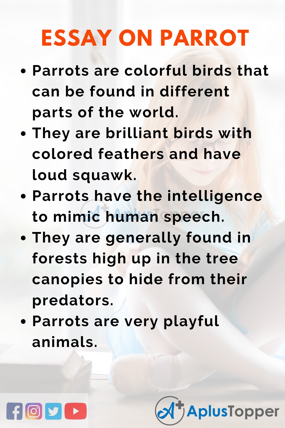 essay on birds for kids