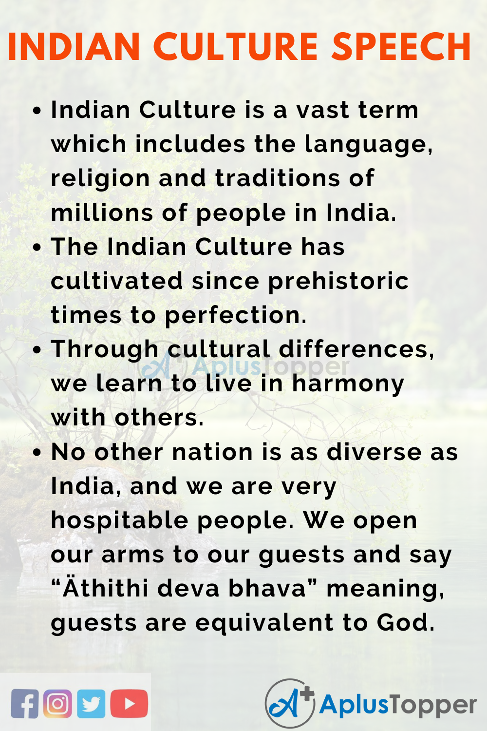 indian culture and customs essay