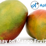 Essay on Mango Fruit