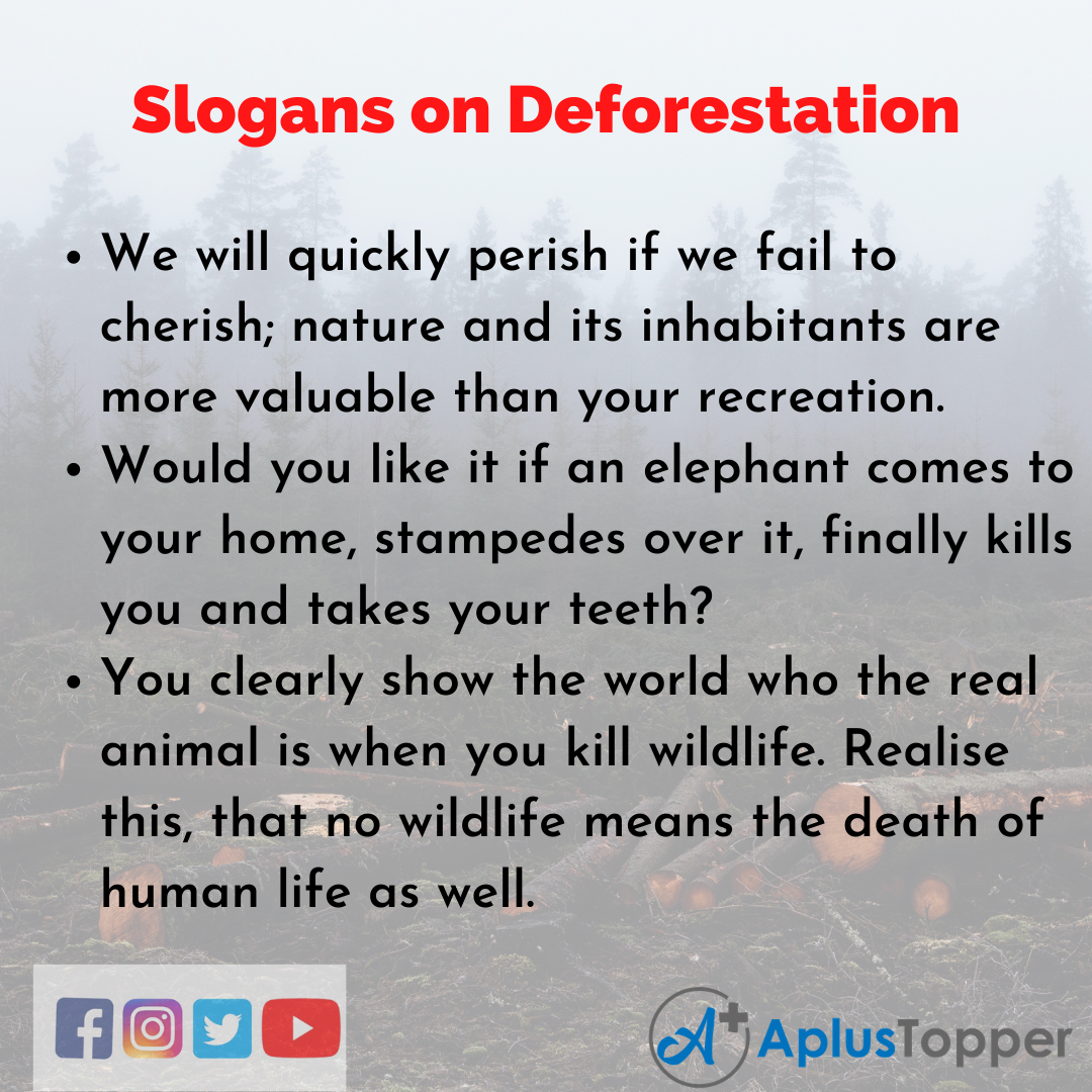 5 Slogans on Doforestation in English