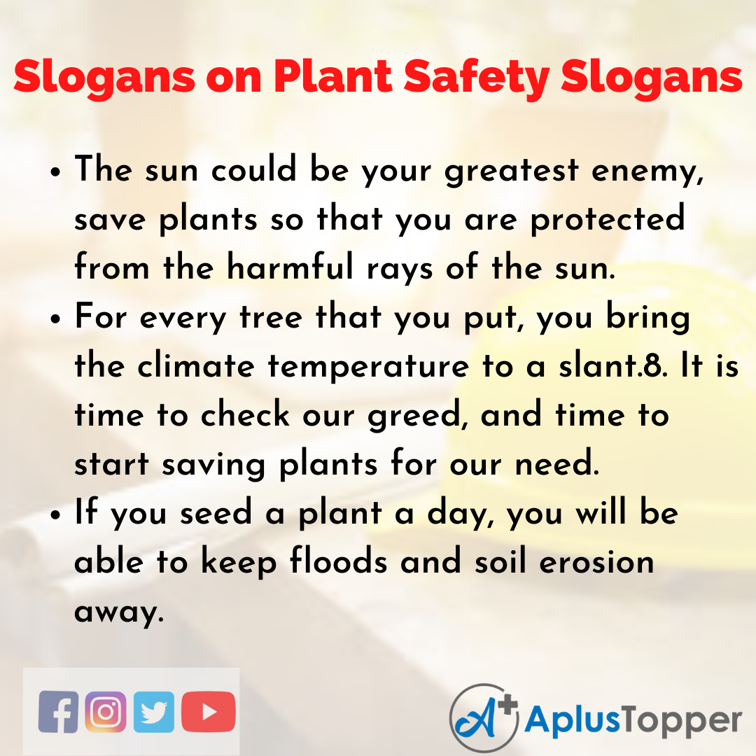 5 Slogans on Plant Safety Slogans in English