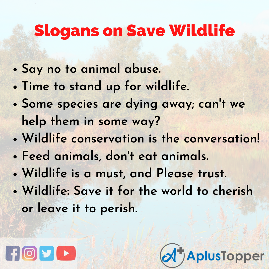 Slogans on Save Wildlife | Unique and Catchy Slogans on Save Wildlife in  English - A Plus Topper