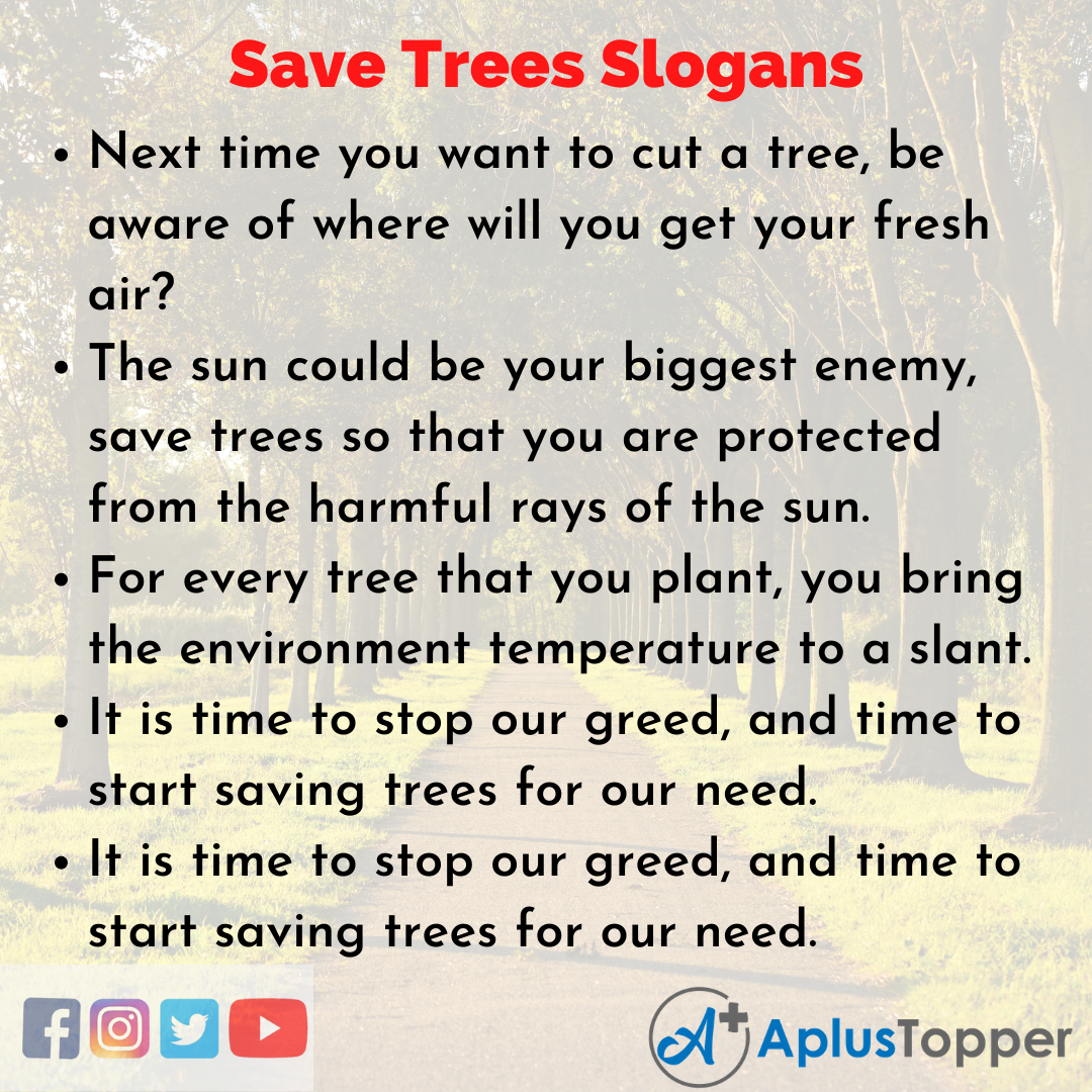 Catchy Save Trees Slogans