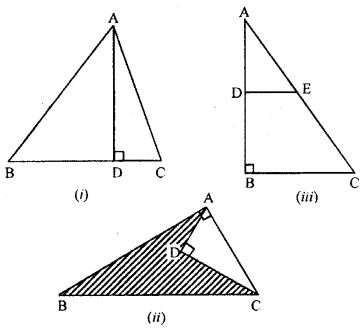ML Aggarwal Class 9 Solutions for ICSE Maths Chapter 12 Pythagoras Theorem Chapter Test img-1