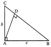 ML Aggarwal Class 9 Solutions for ICSE Maths Chapter 12 Pythagoras Theorem Chapter Test img-10