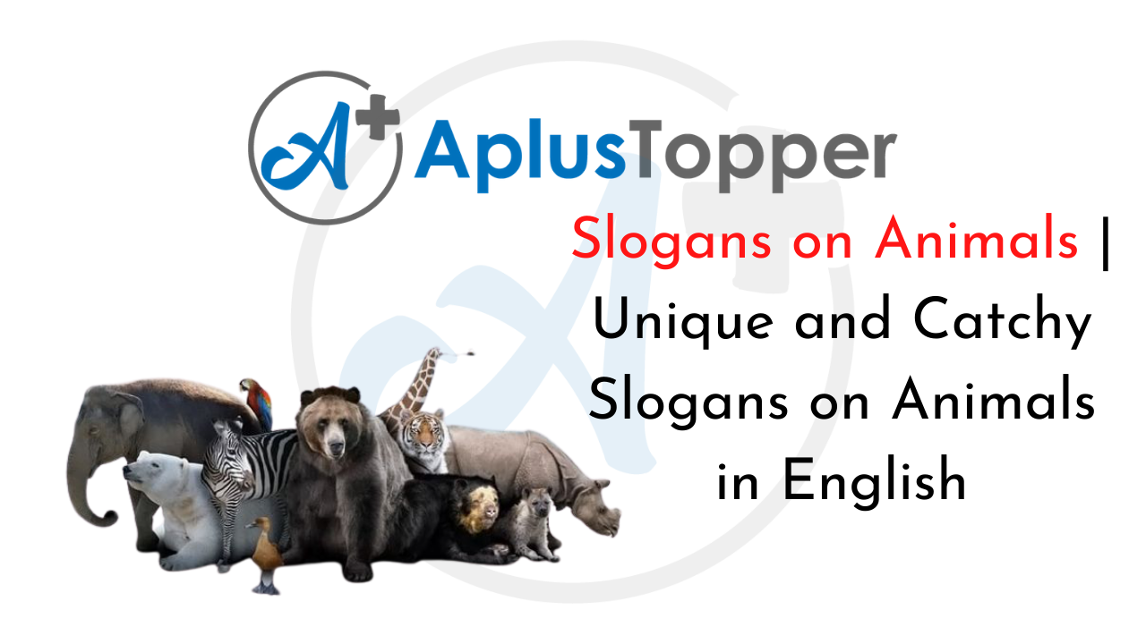 Slogans on Animals | Unique and Catchy Slogans on Animals in English - A  Plus Topper