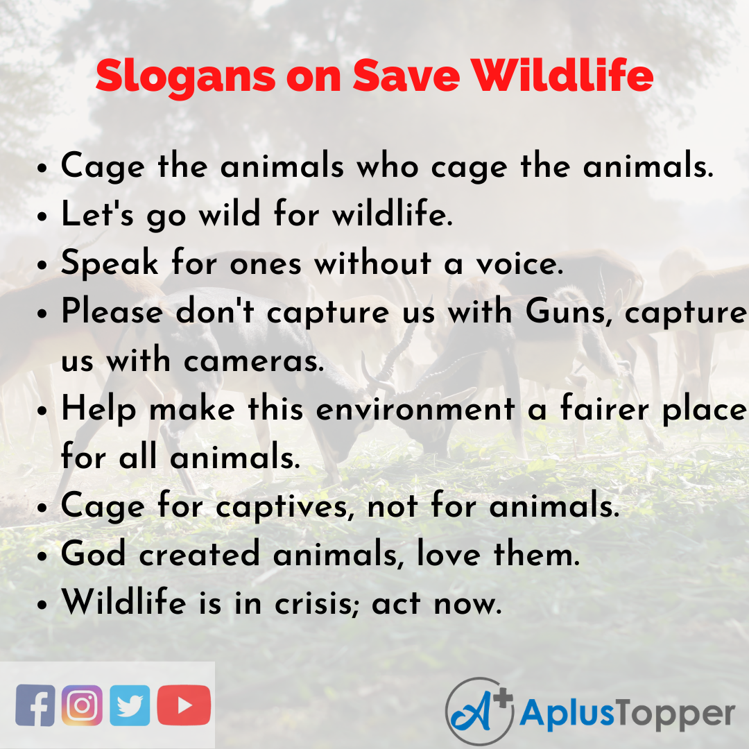 Slogans on Save Wildlife | Unique and Catchy Slogans on Save Wildlife in  English - A Plus Topper