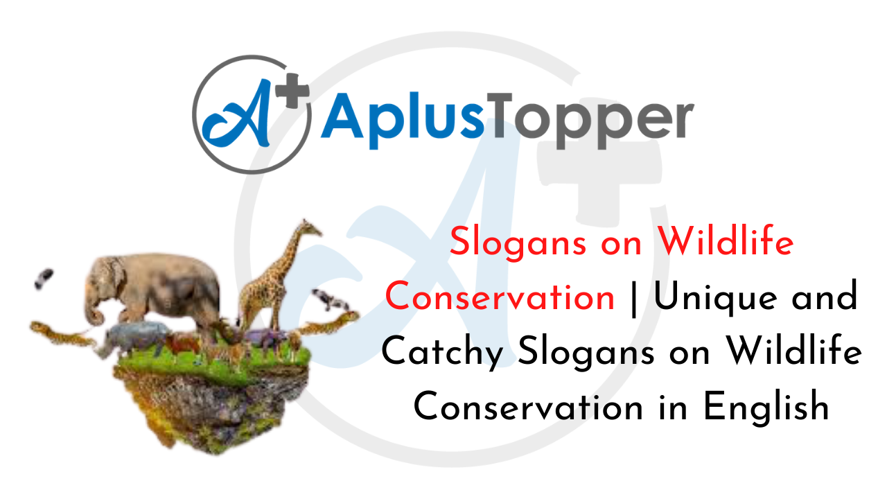 Slogans on Wildlife Conservation | Unique and Catchy Slogans on Wildlife  Conservation in English - A Plus Topper
