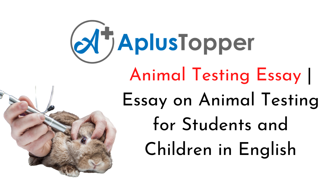 stop animal testing essay