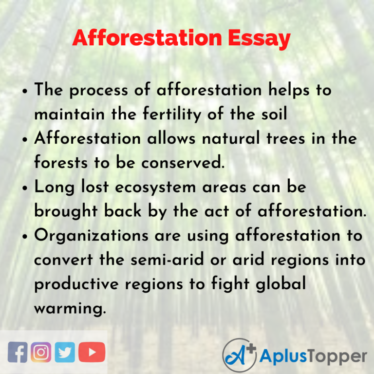 essay on deforestation and afforestation