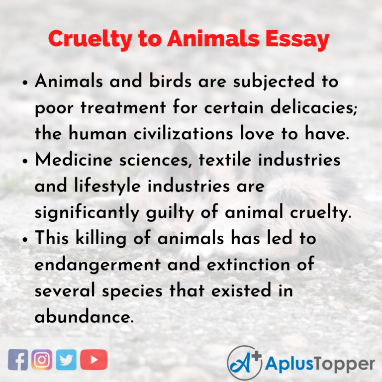 animal cruelty essay