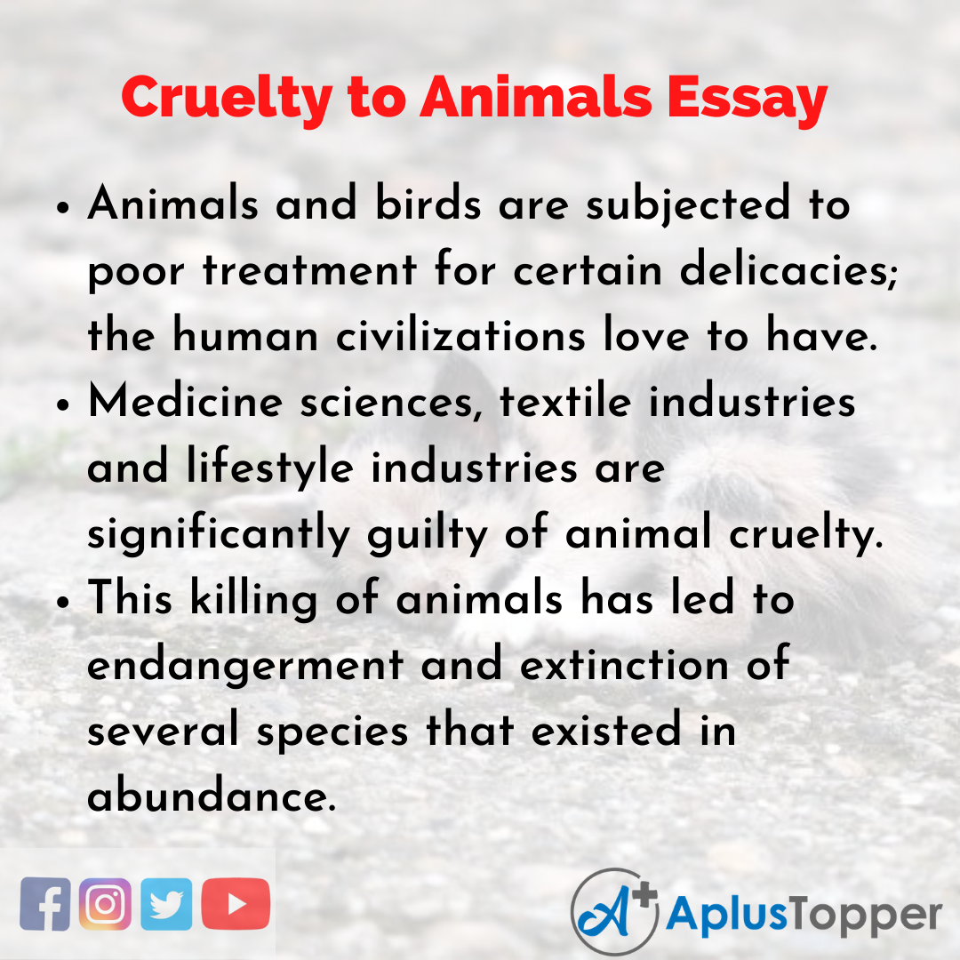 Essay about Cruelty to Animals