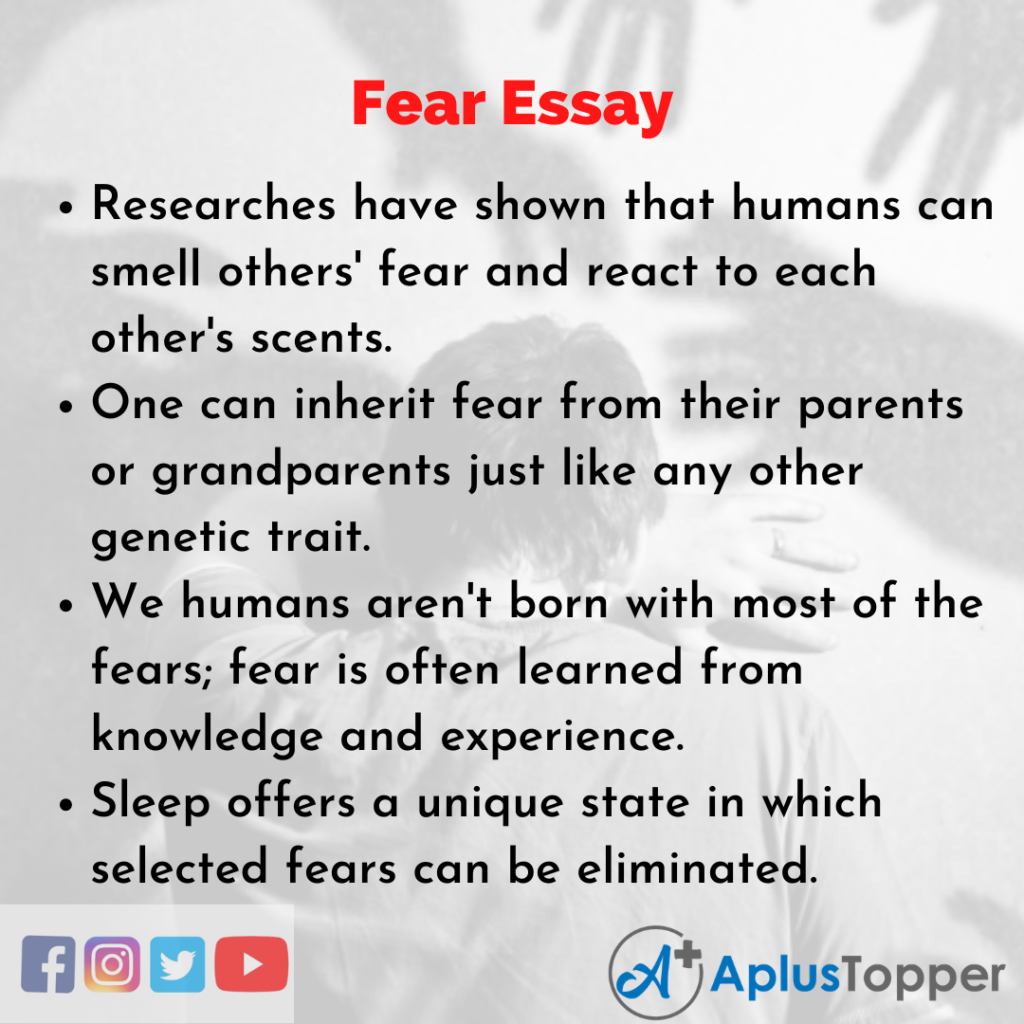 exam fear short essay