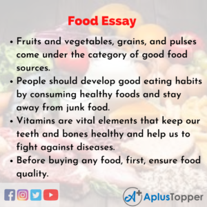 essay about food web