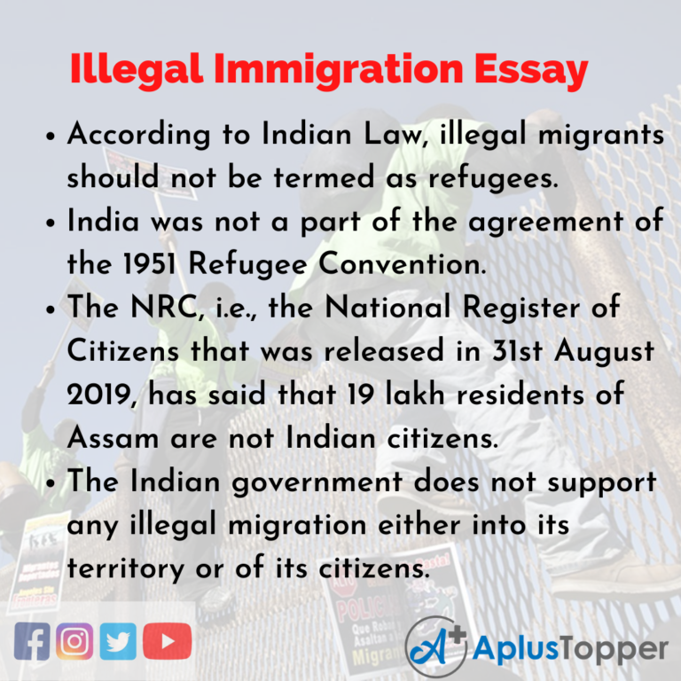 essay on immigration in english