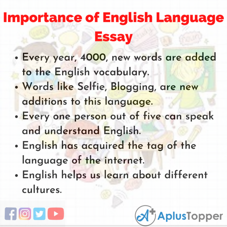 essay about english