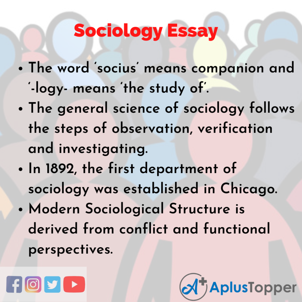 sociology definition essay