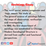 sociology essay brainly