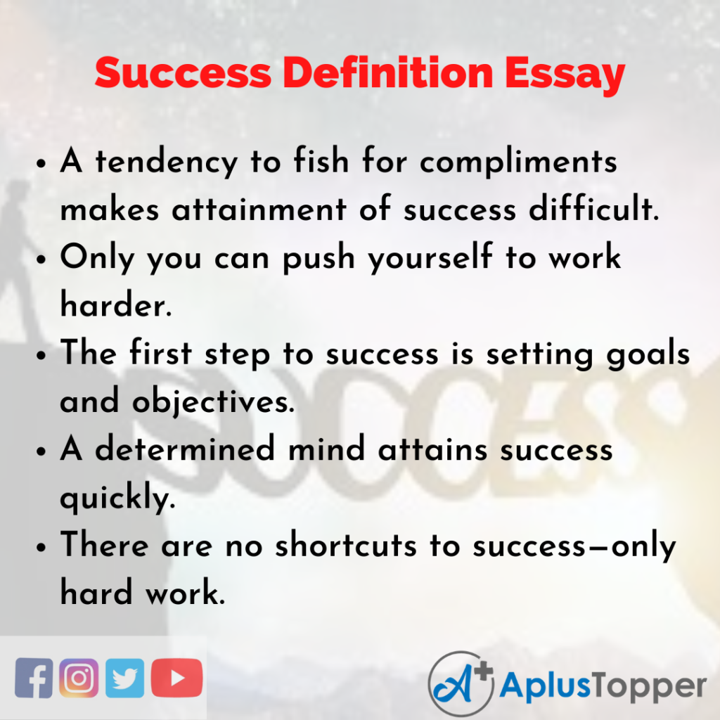 essay about success story