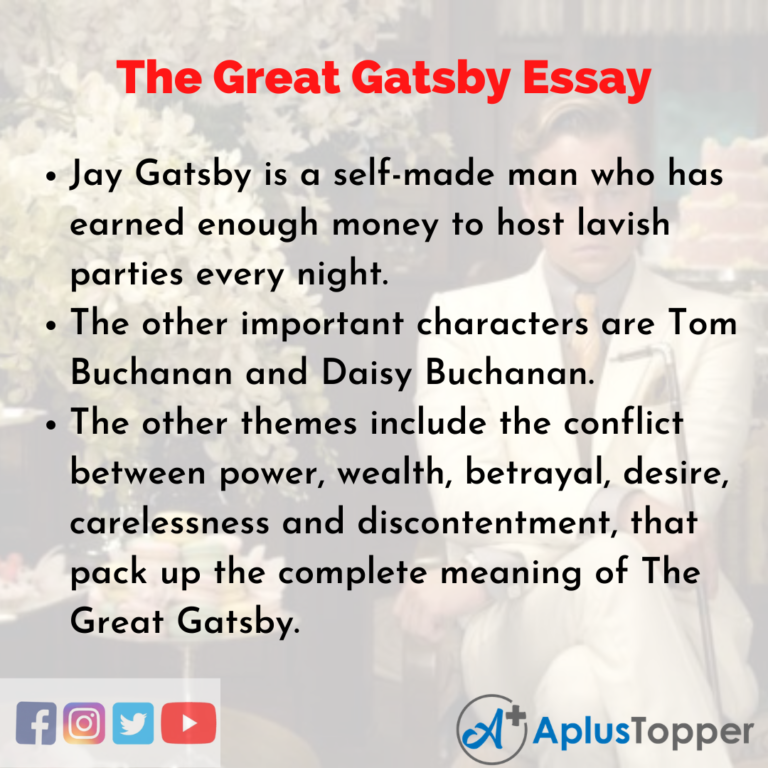essays on gatsby