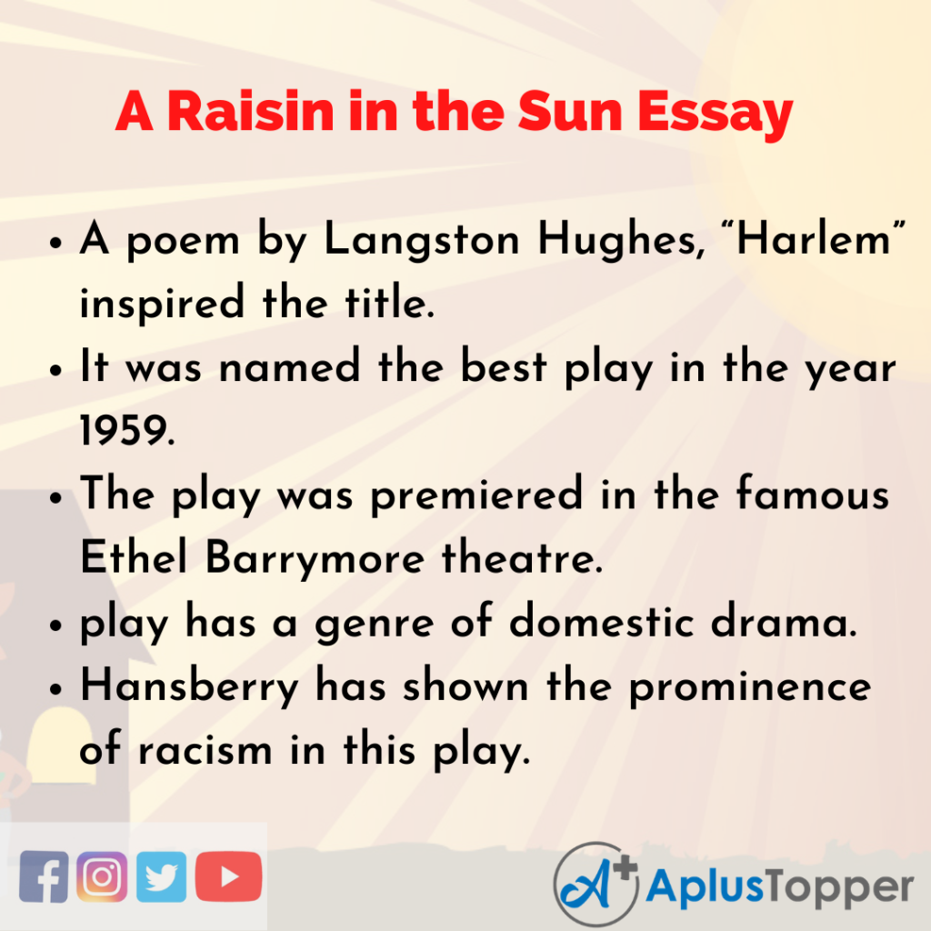 theme essay on a raisin in the sun
