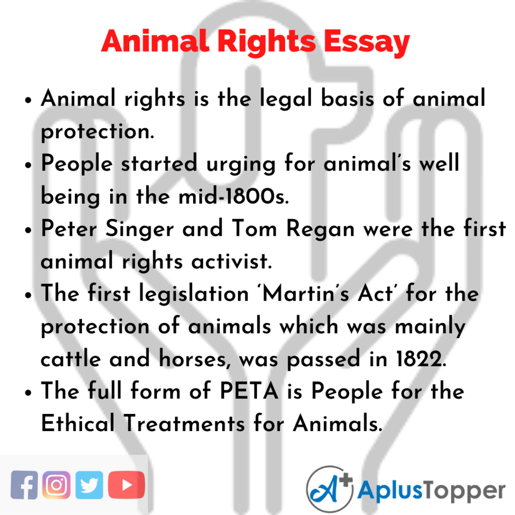 animal rights essay intro