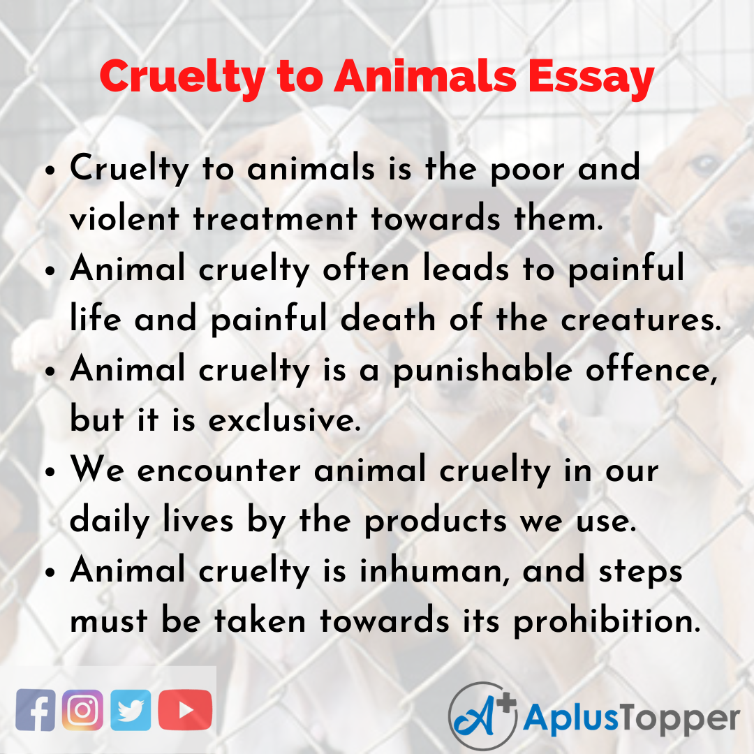 Cruelty to Animals Essay | Essay on Cruelty to Animals Essay for Students  and Children in English - A Plus Topper