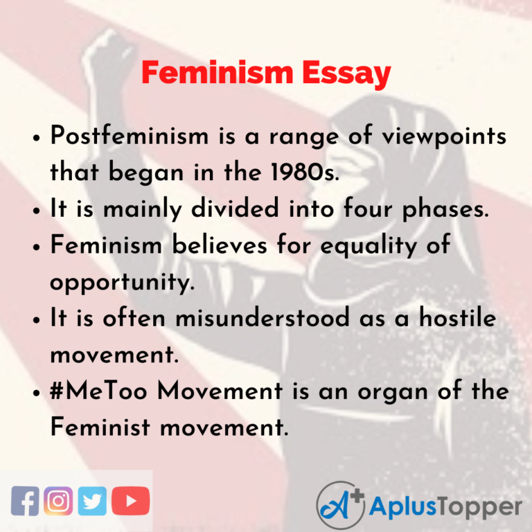 history of feminism essay