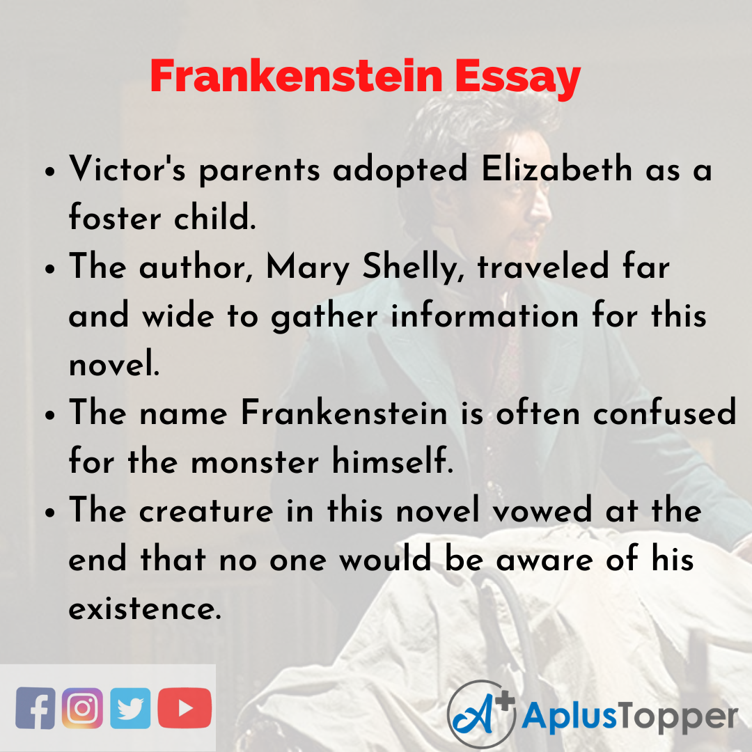 Essay on Frankenstein