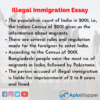 illegal immigration essay pdf