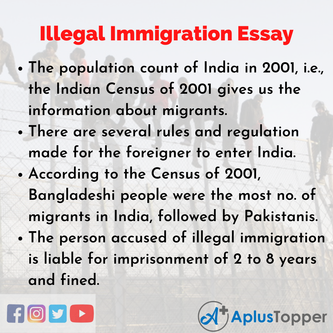 Essay on Illegal Immigration
