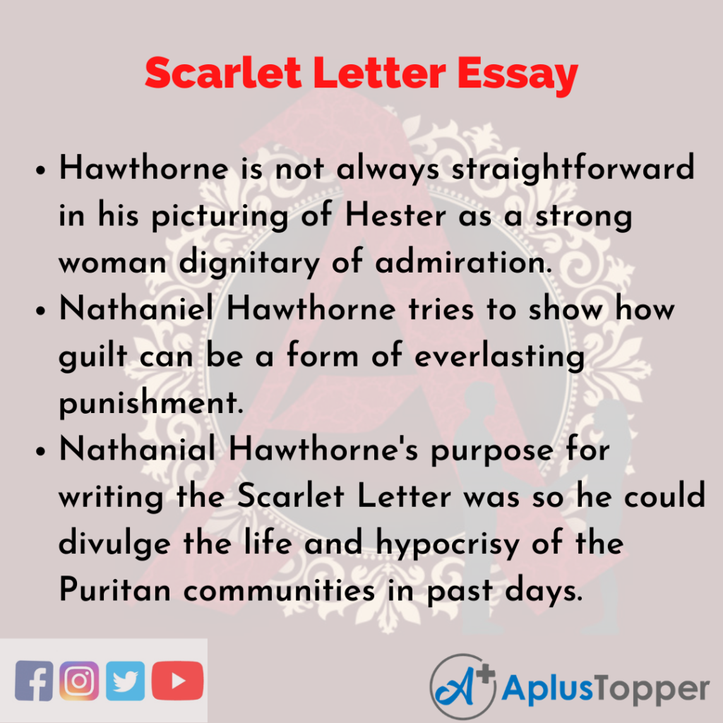 essay type questions on the scarlet letter