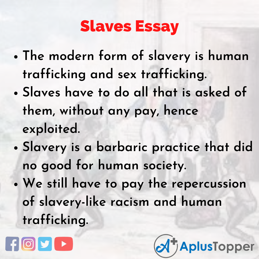 Essay on Slaves