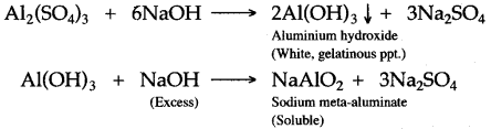 ICSE Solutions for Class 10 Chemistry - Analytical Chemistry 2
