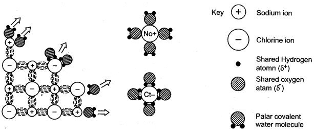 ICSE Solutions for Class 10 Chemistry - Chemical Bonding 10