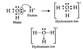 ICSE Solutions for Class 10 Chemistry - Chemical Bonding 14