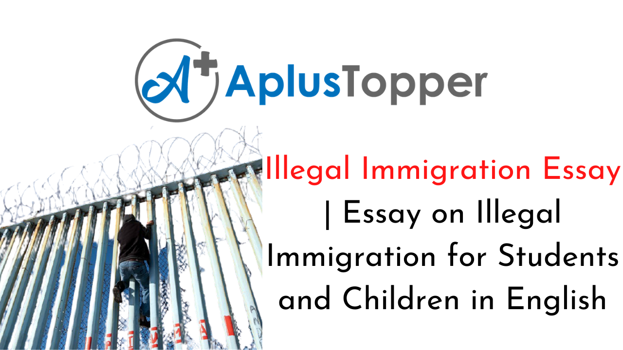 illegal immigrants essay
