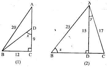 ML Aggarwal Class 9 Solutions for ICSE Maths Chapter 17 Trigonometric Ratios Chapter Test img-6