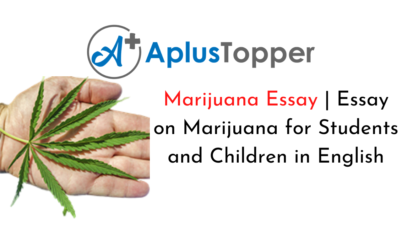 Реферат: About Medical Marijuana Essay Research Paper About