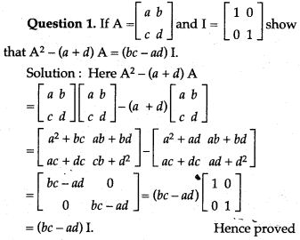 Matrices-icse-solutions-class-10-mathematics-1