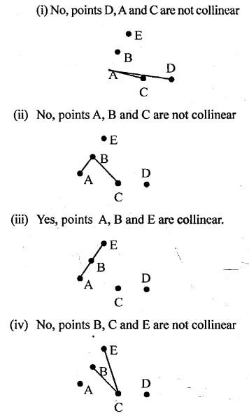 Selina Concise Mathematics Class 6 ICSE Solutions Chapter 23 Fundamental Concepts image - 25