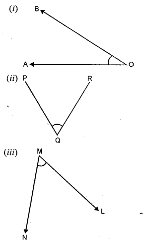 Selina Concise Mathematics Class 6 ICSE Solutions Chapter 24 Angles image - 16